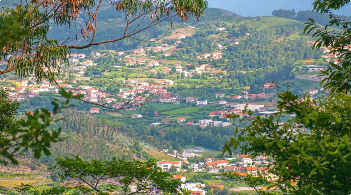 Nosso inventário inclui uma ampla variedade de veículos.